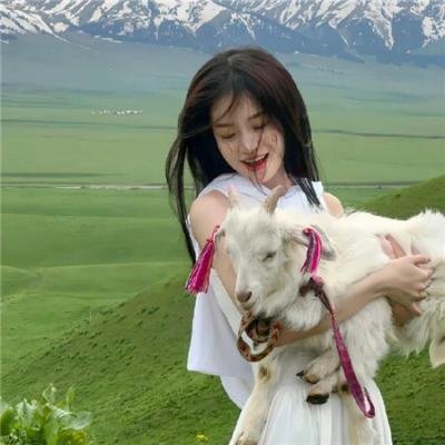 湖南卫视乘风破浪